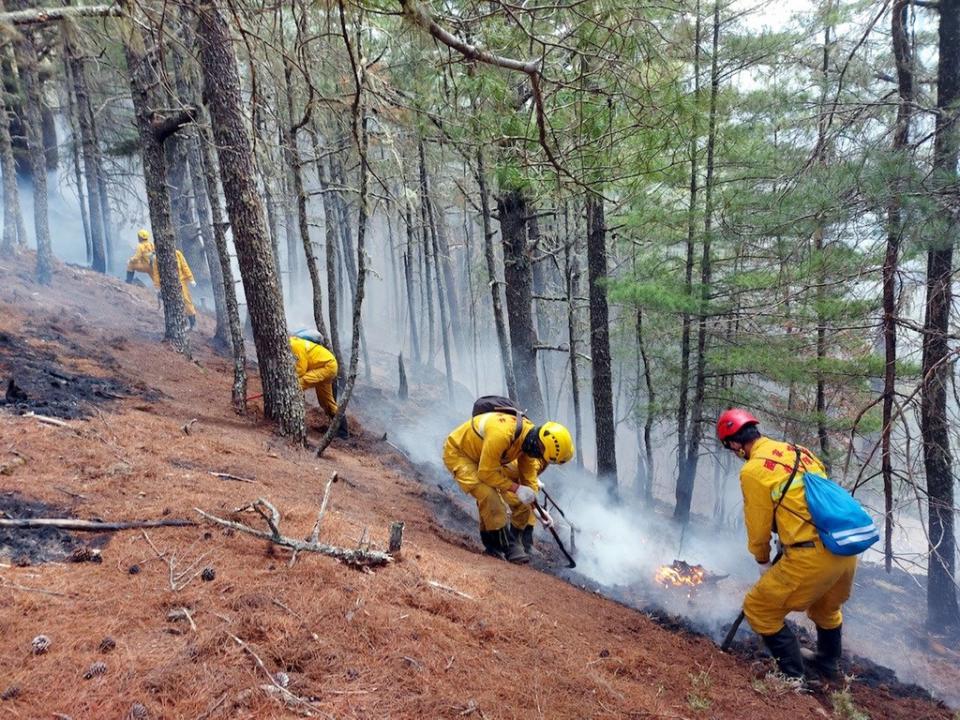 NCC前專門委員喬建中等5人因人為引火造成玉山森林火災，林務局將求償新台幣2億2859萬餘元。NCC並將依照公務員懲戒法第5條，把喬建中停職。圖為森林護管員前往處理殘火。（嘉義林管處提供）