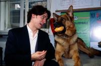 Österreichs bekanntester Polizeihund: Kommissar Rex. Für gute Arbeit belohnt Richie Moser (Tobias Moretti) Rex immer mit einer Wurstsemmel. Das liebe Herrchen starb 1998 den Serientod und wurde seither von zahlreichen weiteren Herrchen abgelöst. (Bild: Koch Media)