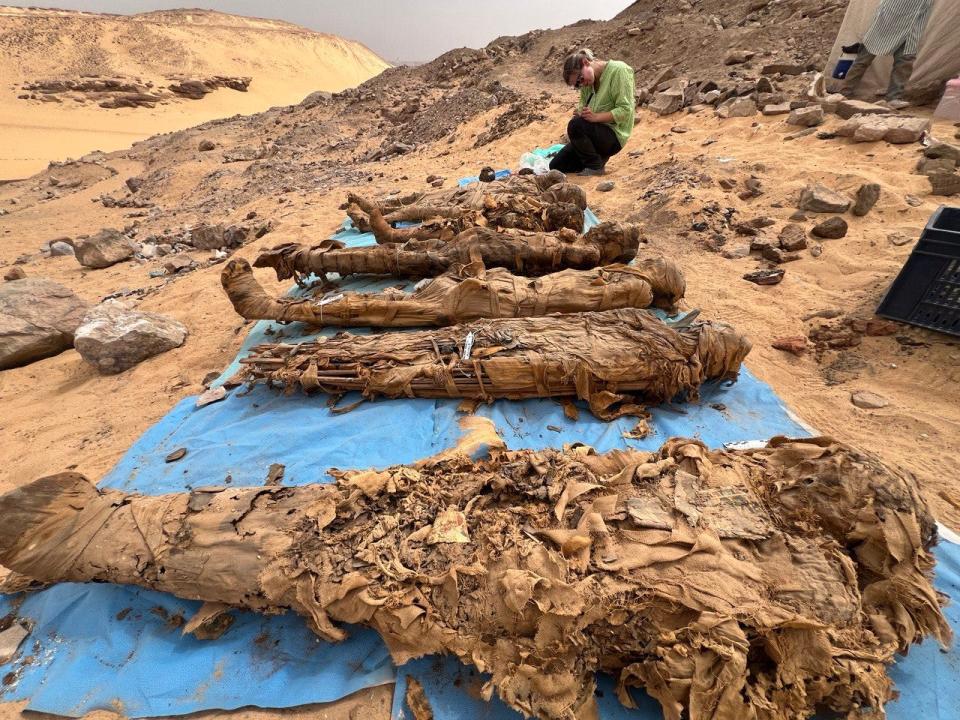 A person in green kneels by several mummified remains near Aswan, Egypt