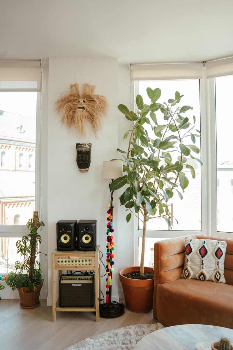 Speaker system on wooden shelf system next to large potted plant in sunny corner of Brooklyn apartment.