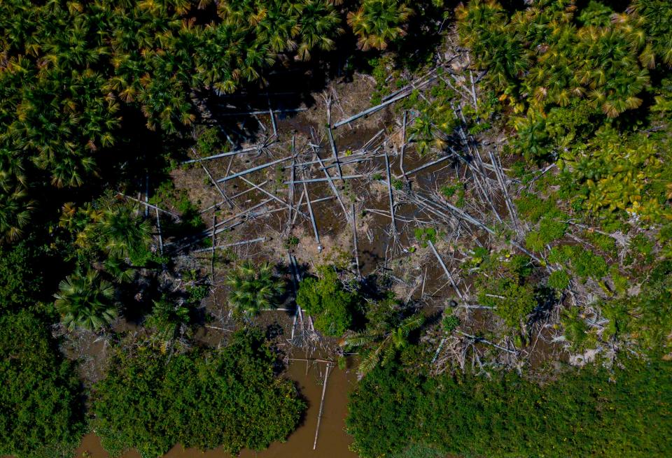 Aerial view of a deforested area in the municipality of Melgaco, Para State, Brazil (AFP via Getty Images)