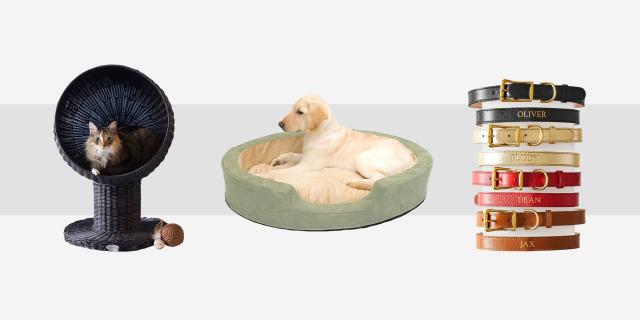 37 Dog Christmas Gifts Ideas