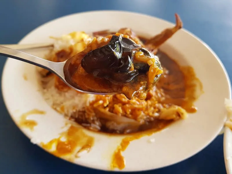 image of black fungus in curry rice