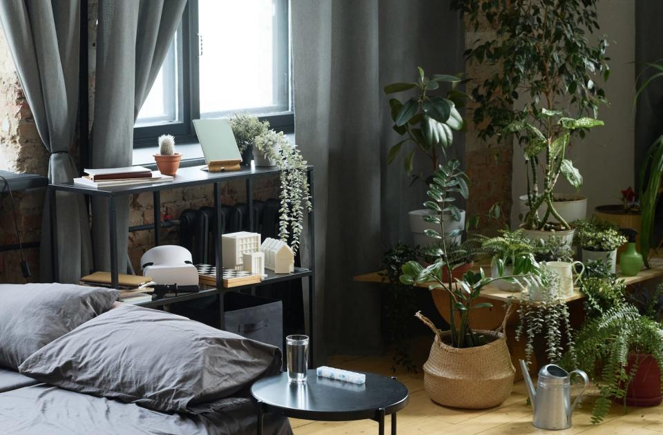 gray and black biophilic bedroom with wooden details, lots of plants, and natural sunlight