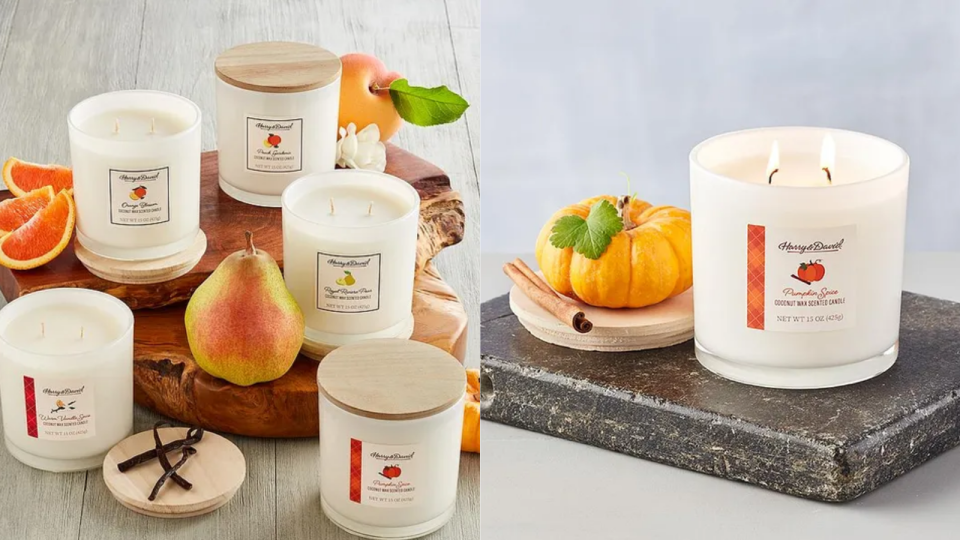Find scents like Pumpkin Spice, Orange Blossom and more.