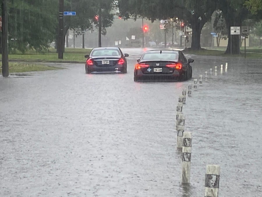 Flooding in Uptown New Orleans on Wednesday, April 10, 2024. (WGNO/Kenny Lopez)