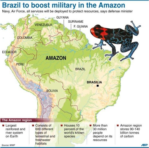 Graphic on the Amazon rainforest. Brazil will boost its military presence in the region to protect natural resources, Defense Minister Celso Amorim told the Senate Thursday