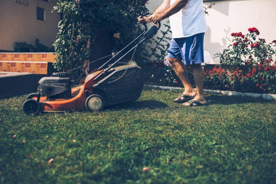 Man mowing a healthy lawn with a lawn mower