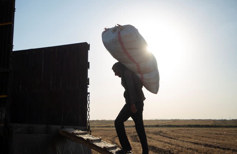 A man transports a sack of hay into a truck near the city of Qamishli