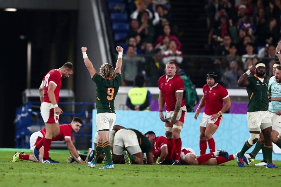 South Africa's scrum-half Faf de Klerk celebrates after South Africa's centre Damian De Allende scored a try. (Credit: Getty Images)