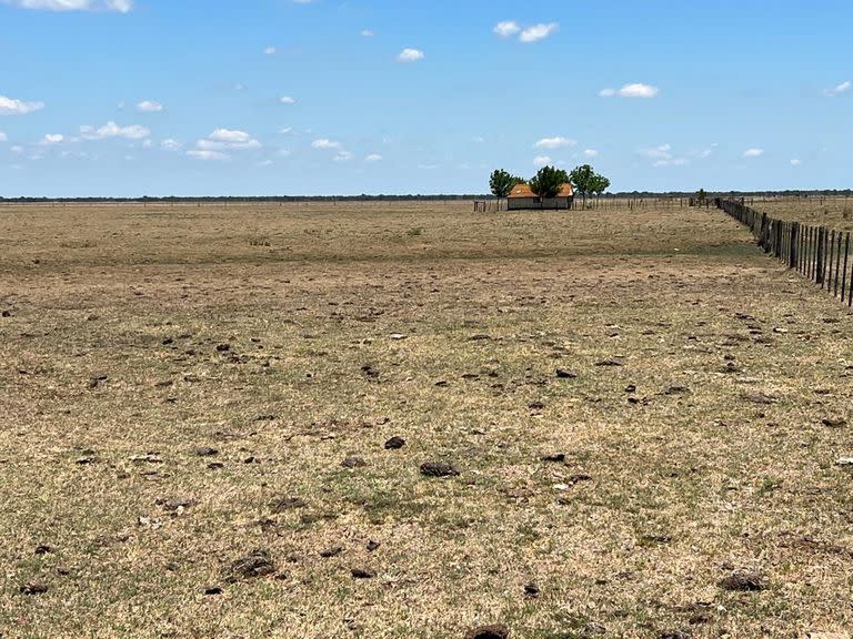 Establecimiento rural en Entre Ríos afectado por la sequía