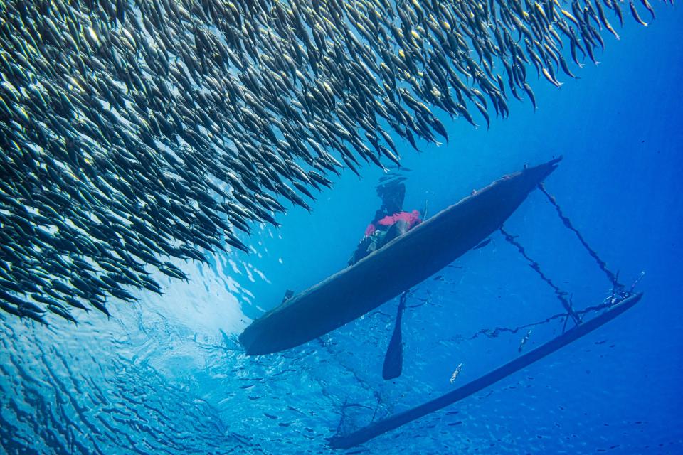 A large school of sardines gets eyed up by a local fisherman in his traditional canoe.