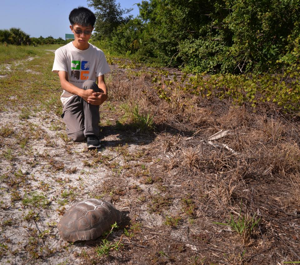 Yuliang Huang's project measured the health of the gopher tortoise population at Hundred Acre Hollows.