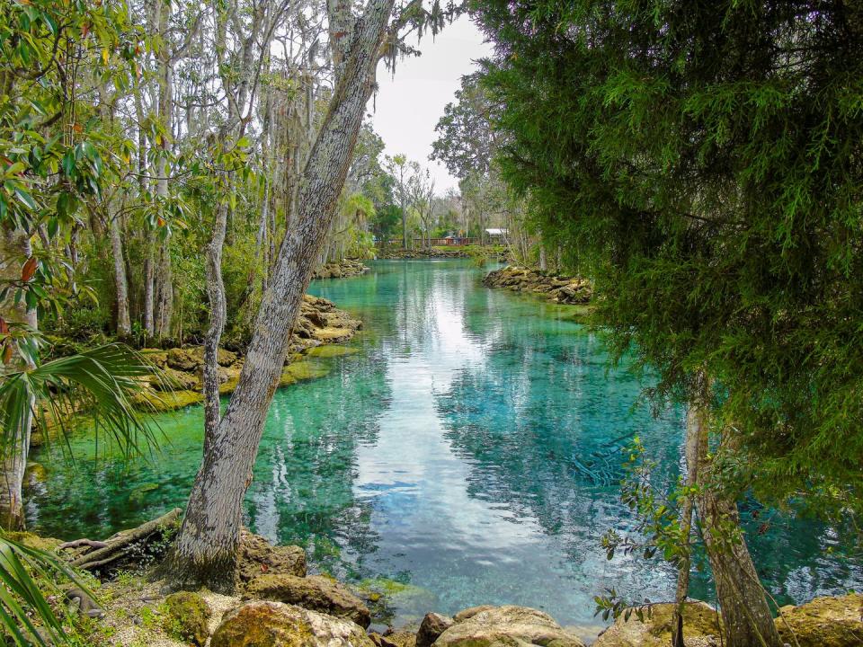 <p>Swim with manatees in this <a href="https://go.redirectingat.com?id=74968X1596630&url=https%3A%2F%2Fwww.tripadvisor.com%2FTourism-g34162-Crystal_River_Florida-Vacations.html&sref=https%3A%2F%2Fwww.housebeautiful.com%2Flifestyle%2Fg43439546%2Ftop-small-towns-in-florida%2F" rel="nofollow noopener" target="_blank" data-ylk="slk:central Florida town;elm:context_link;itc:0;sec:content-canvas" class="link ">central Florida town</a> beloved by nature-seekers. The Three Sisters Springs flow at a constant 72 degrees, creating an ideal home for the gentle giants when the temperature drops in the Gulf of Mexico.</p><p><a class="link " href="https://go.redirectingat.com?id=74968X1596630&url=https%3A%2F%2Fwww.tripadvisor.com%2FTourism-g34162-Crystal_River_Florida-Vacations.html&sref=https%3A%2F%2Fwww.housebeautiful.com%2Flifestyle%2Fg43439546%2Ftop-small-towns-in-florida%2F" rel="nofollow noopener" target="_blank" data-ylk="slk:Shop Now;elm:context_link;itc:0;sec:content-canvas">Shop Now</a><br></p>