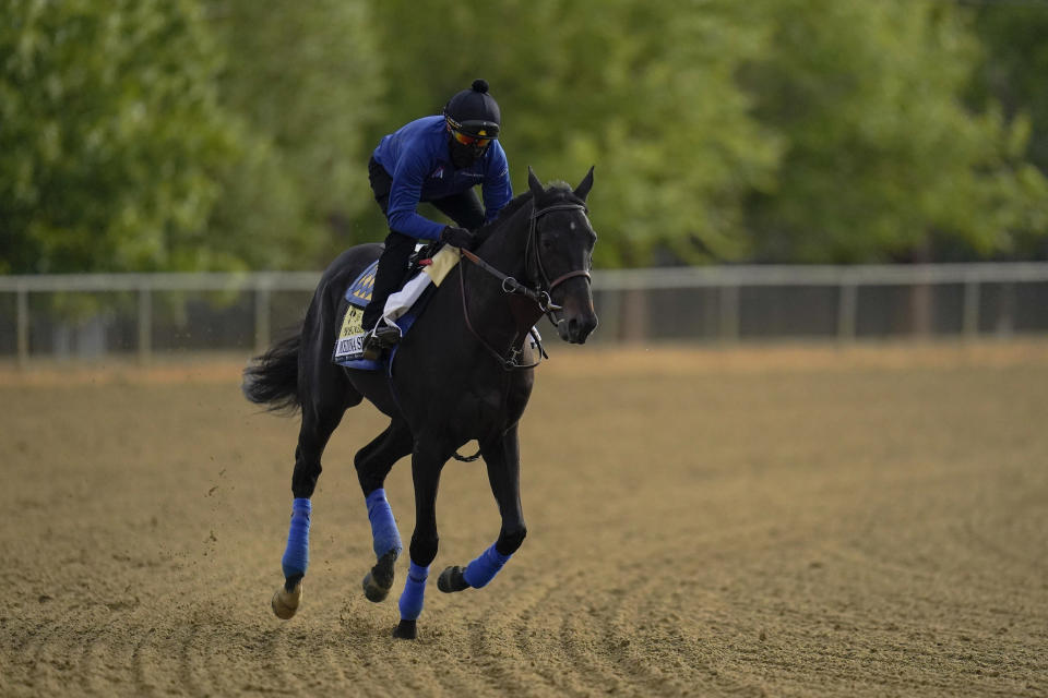 Exercise rider Humberto Gomez takes Kentucky Derby winner and Preakness entrant Medina Spirit over the track during a training session ahead of the Preakness Stakes horse race at Pimlico Race Course, Wednesday, May 12, 2021, in Baltimore. (AP Photo/Julio Cortez)