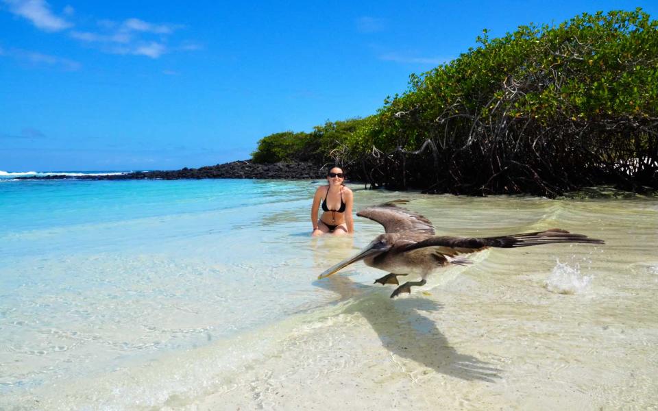 Galapagos Beach