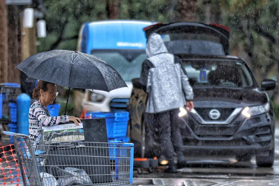 Despite the rainy weather condition, a shopper makes use of an umbrella as she heads to her car after shopping at Walmart in Pembroke Pines, Florida on Wednesday, December 13, 2023.