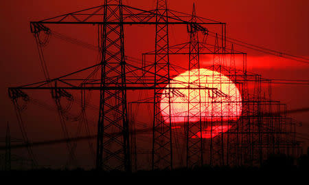 FILE PHOTO: High-voltage power lines and electricity pylons are pictured during sunset near the eastern German village of Brand south of Berlin July 16, 2007. REUTERS/Hannibal Hanschke/File Photo
