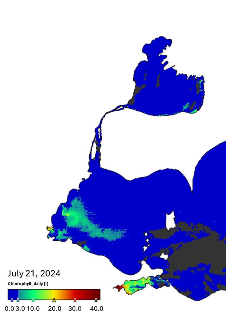 A satellite image from July 21, 2024, shows the presence of cyanobacteria in western Lake Erie (bottom half of the image), as well as the suspected bloom on the south shore of Lake St. Clair (top half of the image). Algal blooms are highlighted in green. 