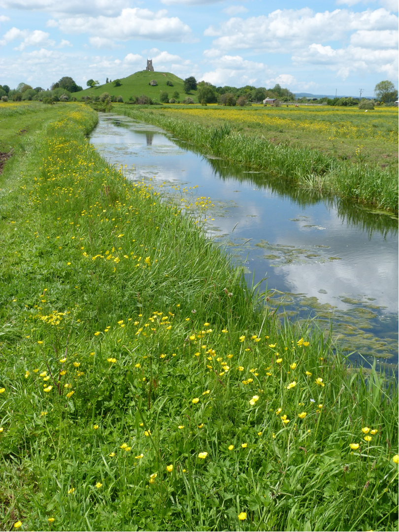 Burrow Mump in the Somerset Levels (Natural England/PA)