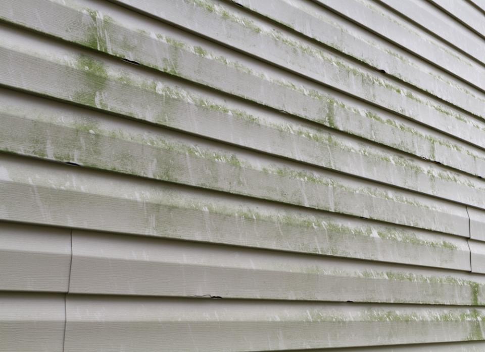 <body><p>Exterior siding: So highly visible to neighbors and passersby, its condition says a lot about your priorities as a homeowner. But while curb appeal may be one motivation for performing exterior maintenance, there's a practical and even more compelling reason to do so. Over the summer months, dirt, mold, pollen and tree sap steadily accumulate. Unchecked, such surface imperfections could ultimately shorten the lifespan of your siding material. </p></body>