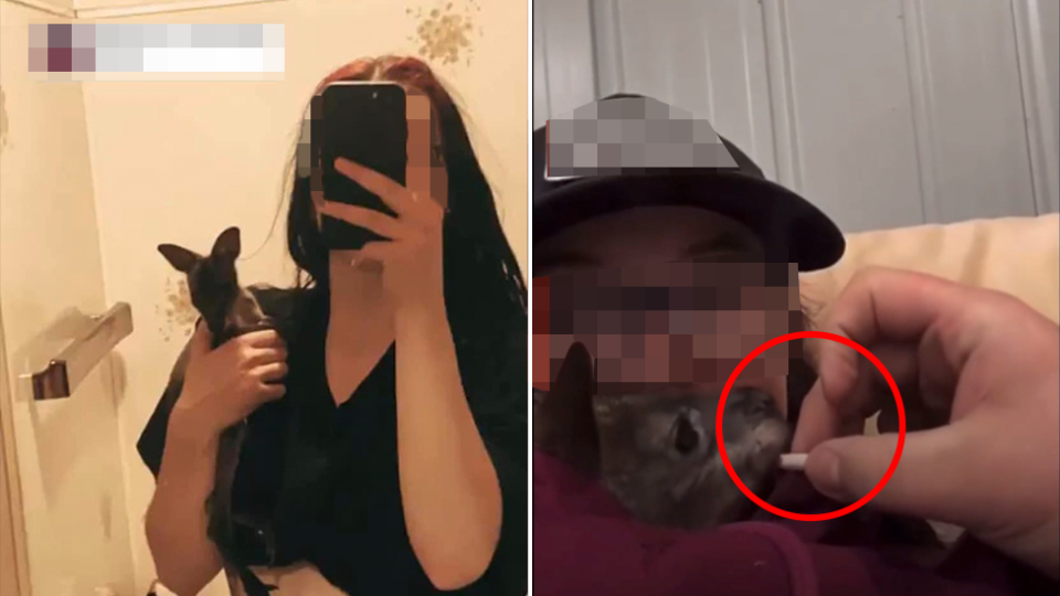 A teenager filmed her 'child' joey being given a cigarette. Source: TikTok