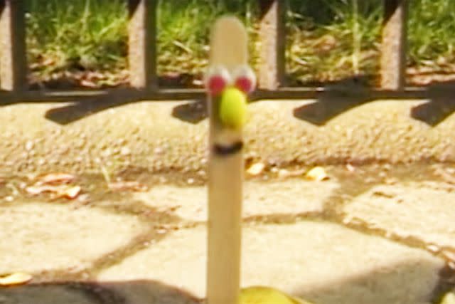 <p>Nicktoons/Youtube</p> Stick Stickly