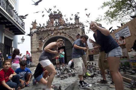 Tourists react to a flock of pigeons as they visit Parque de las Palomas in San Juan, Puerto Rico, July 18, 2015. REUTERS/Alvin Baez