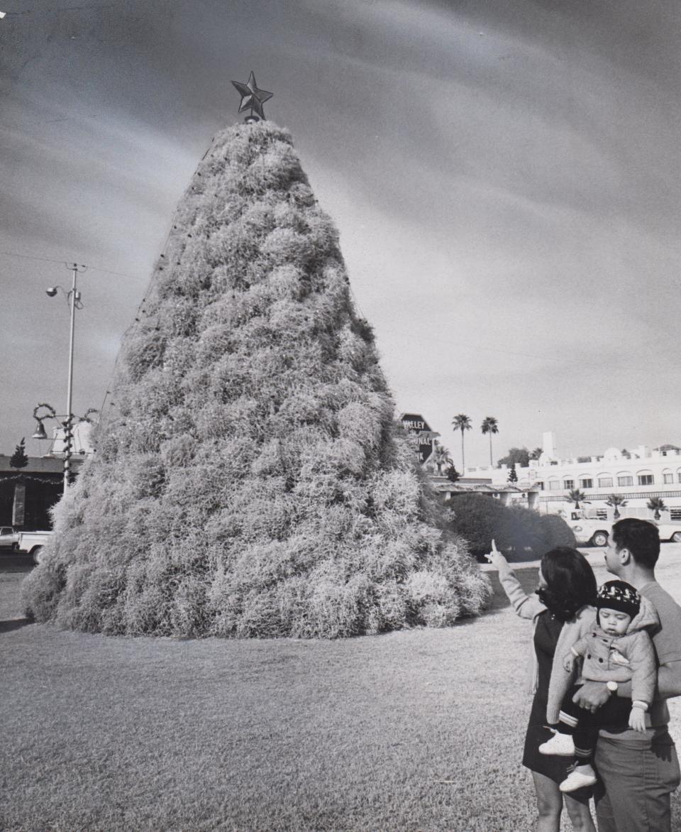 Chandler's tumbleweed tree is admired by a family on Dec. 16, 1970.