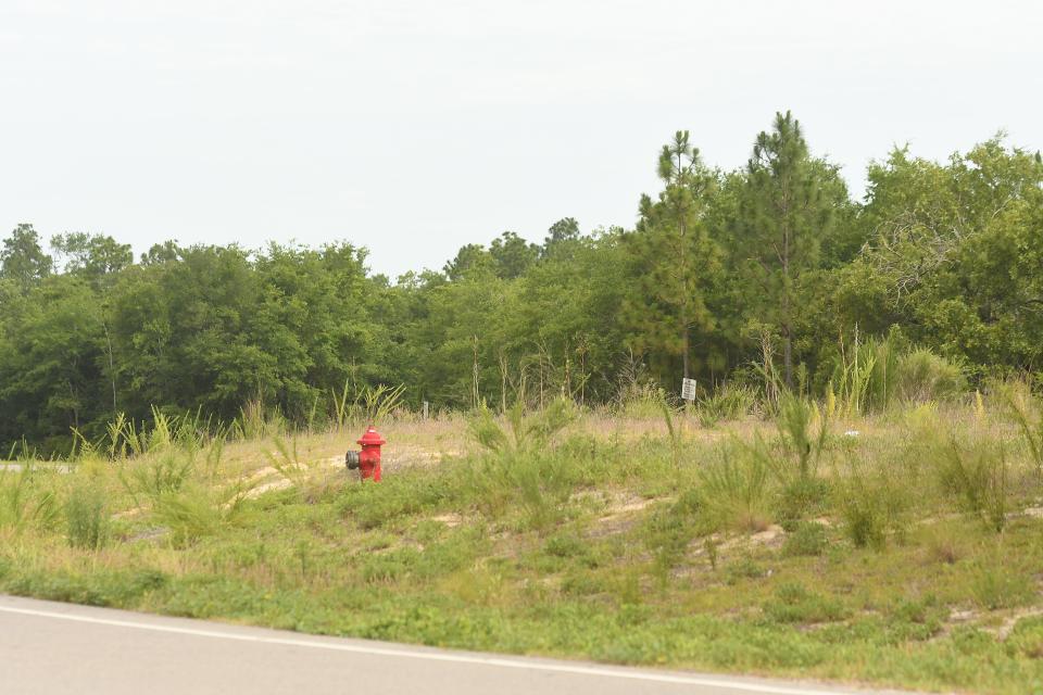 Traffic travels along Raleigh Street Tuesday June 21, 2022  near the State Port/ Wilmington's port is adding a cold storage facility. Plans for the facility along Raleigh Street have recently been filed with the city. KEN BLEVINS/STARNEWS