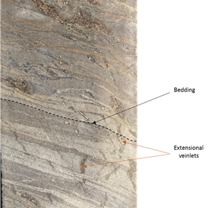 Extensional veinlets refracting across interbedded sandy and mica-rich units