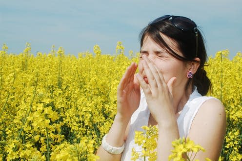 <span class="caption">Hayfever.</span> <span class="attribution"><a class="link " href="https://www.shutterstock.com/image-photo/pollen-allergy-girl-sneezing-field-flowers-93088627?src=pmx7uDSqeZc6oRfdhaCXeQ-1-10" rel="nofollow noopener" target="_blank" data-ylk="slk:Alex Cofaru/Shutterstock;elm:context_link;itc:0;sec:content-canvas">Alex Cofaru/Shutterstock</a></span>