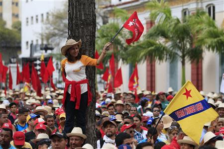 A woman waves a flag during a march of farmers in support of Venezuela's President Nicolas Maduro in Caracas February 26, 2014. REUTERS/Tomas Bravo