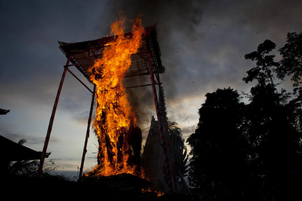 UBUD, BALI, INDONESIA - AUGUST 18: A black bull sarcophagus is set on fire during the Hindu Royal cremation of Anak Agung Rai Niang - also know as the Pengabenan - for the late Anak Agung Niang Rai, mother of Gianyar Regent, Tjokorda Oka Artha Ardana Sukawati, at Puri Ubud in Gianyar Bali on August 18, 2011 in Ubud, Bali, Indonesia. Niang Rai died in a Denpasar hospital in May; and will involve a nine level, 24m high 'bade' or body carring tower, made by upto 100 volunteers from 14 local villages. It will be carried to the cremation by 4500 Ubud residents. (Photo by Ulet Ifansasti/Getty Images)