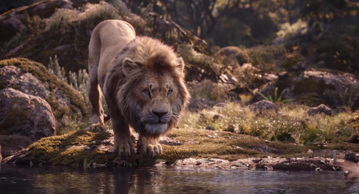 simba sips water lion king remake 2019