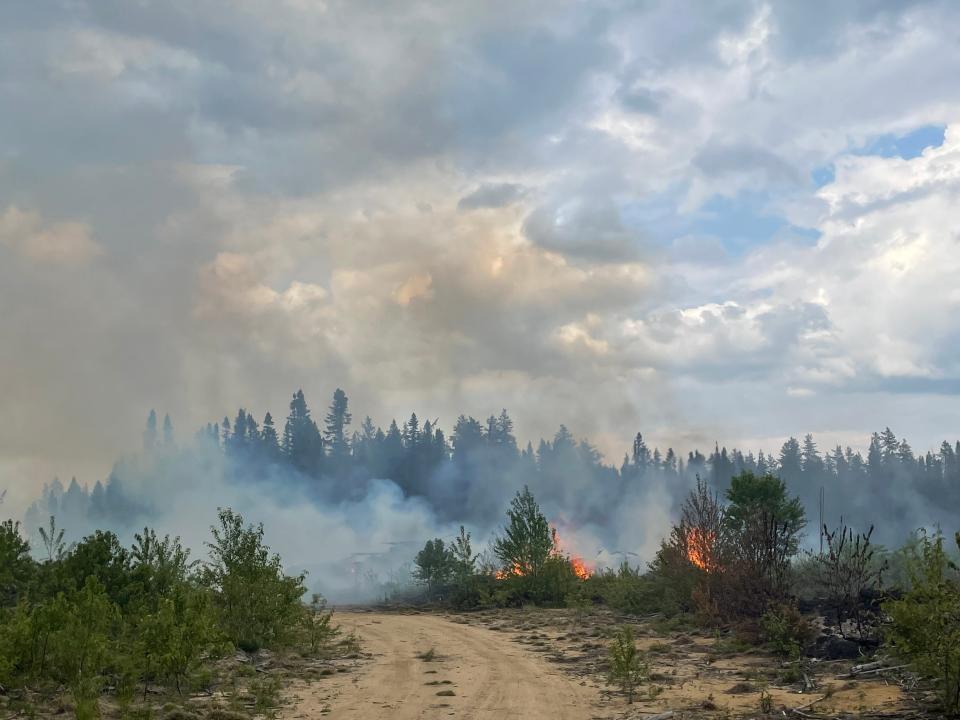 One New York forest ranger told USA TODAY Network New York it doesn't appear Canada's wildfires will end through the summer without heavy rain.