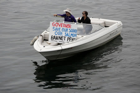 People protest near a an open-water net pen during a flotilla against the expansion and renewal of Atlantic salmon net pens in Washington state at Rich Passage off Bainbridge Island, Washington, U.S. September 16, 2017. REUTERS/Jason Redmond