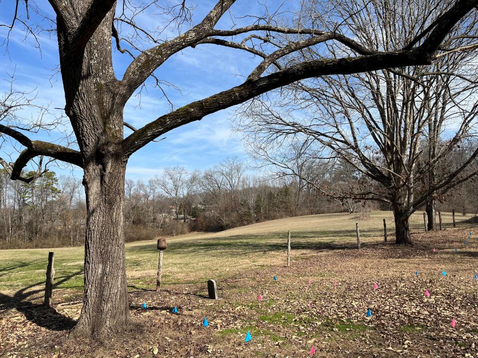 A walnut tree lines the edge of Mars Hill Cemetery on Feb. 7, 2023, next to a field where some additional graves are also located.