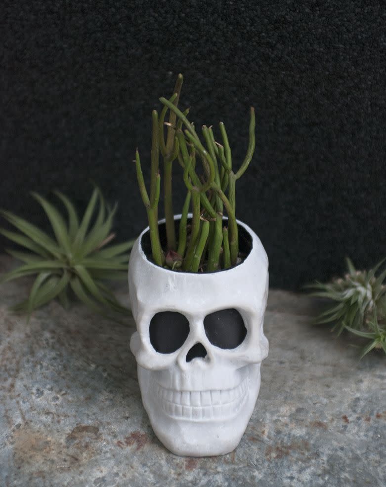 halloween centerpieces skull planter