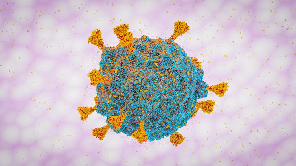 COVID-19 virus SARS-COV-2, ARN enclosed in protein shell  covid-19 B.1.1.529 South Africa strain 3d rendering