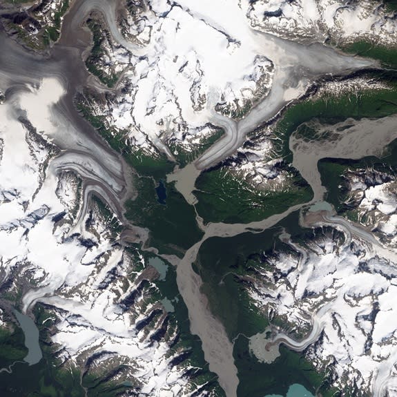 In 2013 the glacier on the left retreated 0.6 miles (1 kilometer) and the glacier on the right retreated 1.2 miles (2 km).