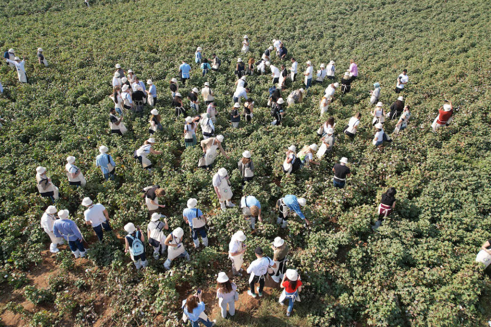 Experiencing regenerative cotton first hand.