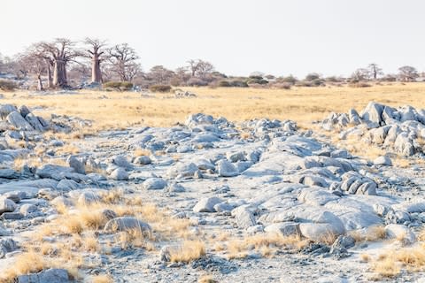 Makgadikgadi - Credit: getty