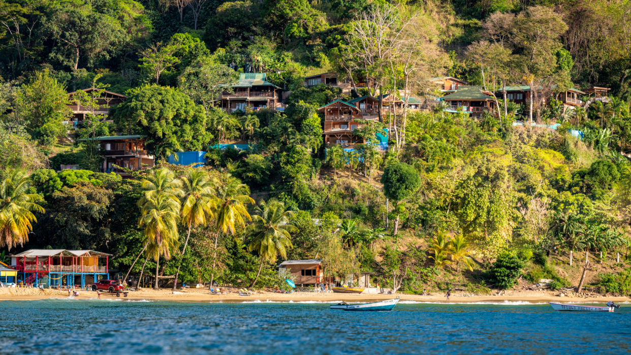  A view from the sea to the coastline and Castara's Resort. 