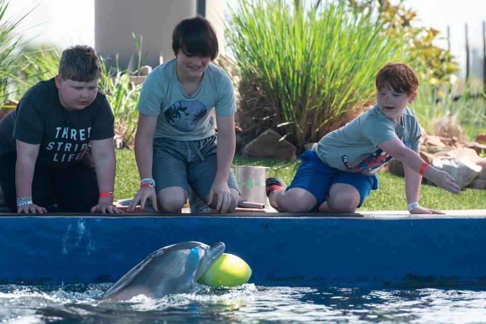 Weston Brown, 6, of Ellisville, and his siblings Caleb Holly, center, and Cayden Brown play catch with a dolphin during a dolphin encounter at the Mississippi Aquarium in Gulfport on Wednesday, March 20, 2024, as a part of Weston’s Make-A-Wish trip to the Mississippi Coast. Weston is in remission from a rare cancer and wanted to see the ocean for his trip.