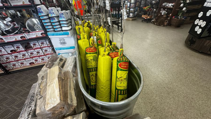 Callahan’s General Store in southeast Austin prepares for winter weather shoppers. (KXAN Photo/Todd Bynum)