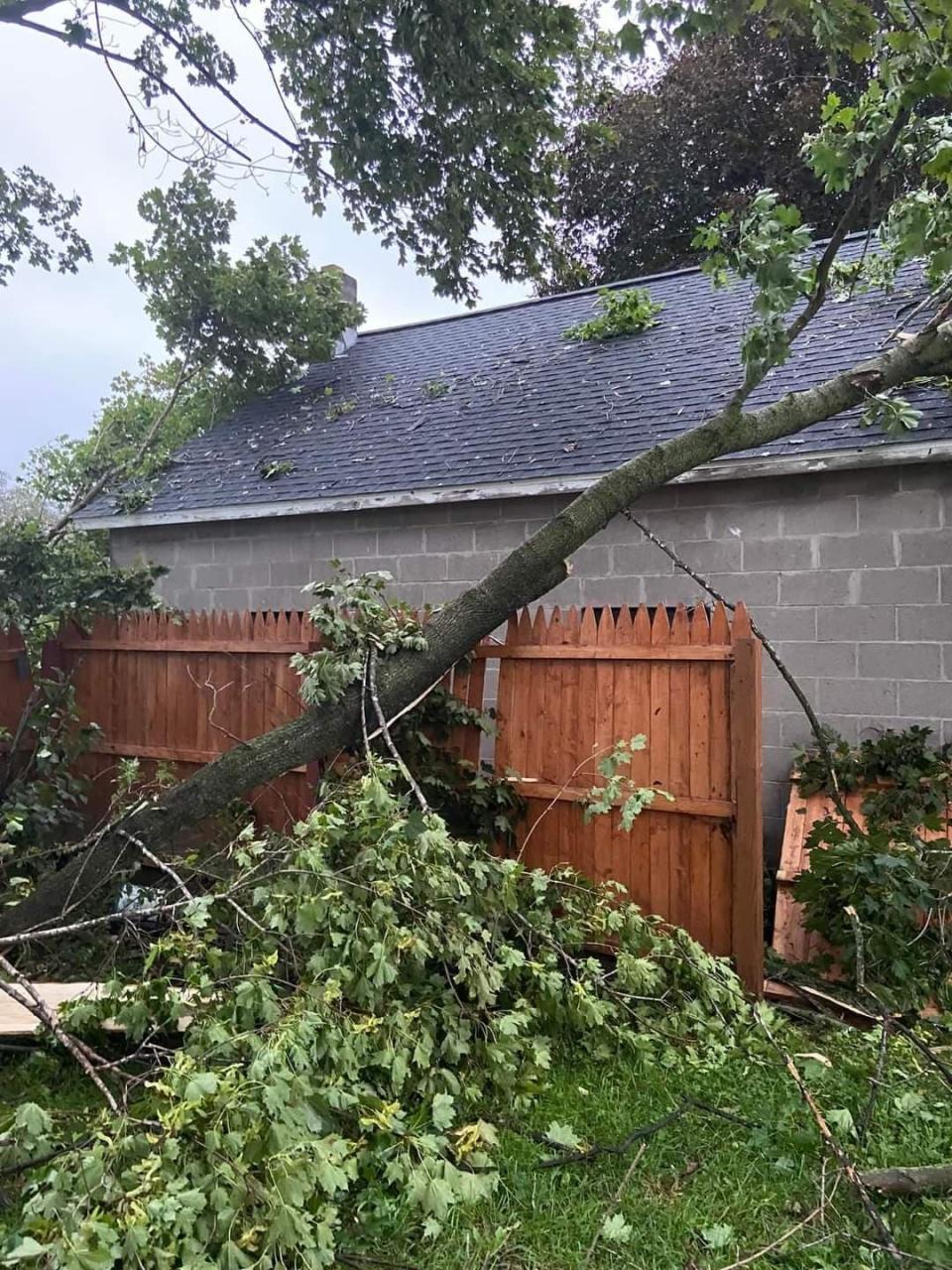 Damage from Monday night's tornado is seen on Lackawanna Street in Wayland.