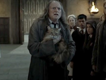 filch last outfit