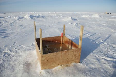 A public toilet stands surrounded by snow near the 2011 Applied Physics Laboratory Ice Station north of Prudhoe Bay, Alaska, March 18, 2011. REUTERS/Lucas Jackson