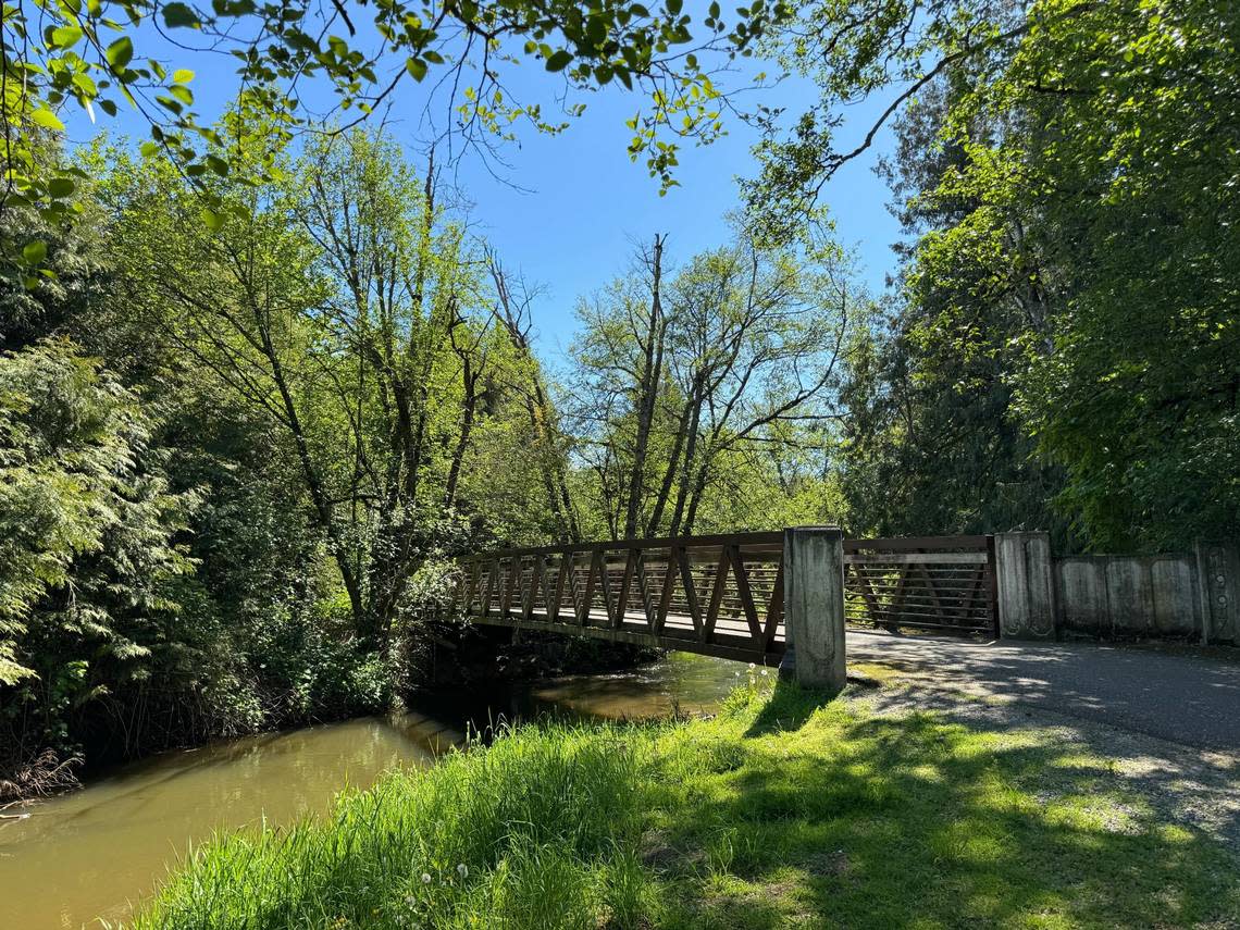 A bridge over Fish Trap creek on the Jim Kaemingk Sr. Trail on Thursday, May 2, 2024 at 503 Brookfield Ct. in Lynden, Wash. Alyse Smith/The Bellingham Herald